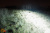 Светодиодная фара комбинированного света РИФ 1010 мм 240W LED Светодиодная фара комбинированного света РИФ 1010 мм 240W LED